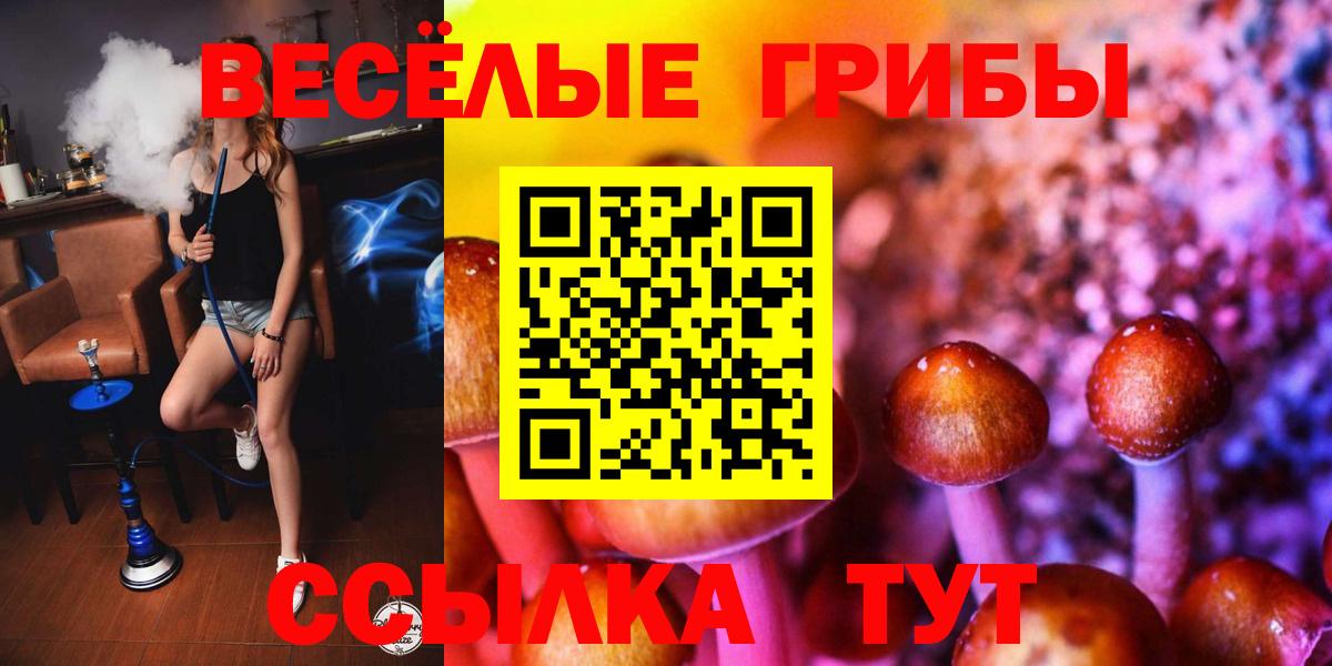 Галлюциногенные грибы ЛСД Боровичи