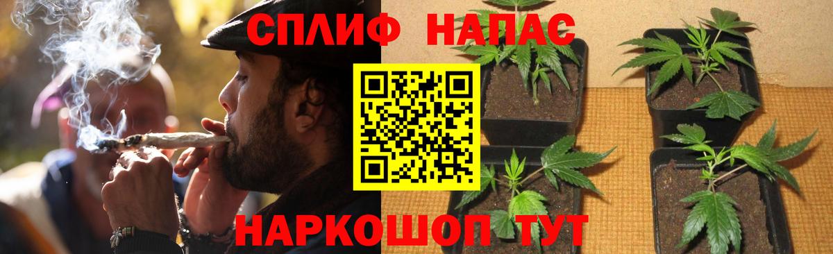 Бошки Шишки Amnesia Боровичи